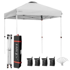 6.6 x 6.6 Feet Outdoor Pop-up Canopy Tent with Roller Bag (Color: Gray)